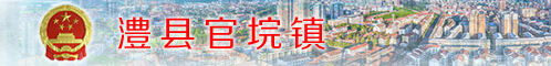 澧县官垸镇