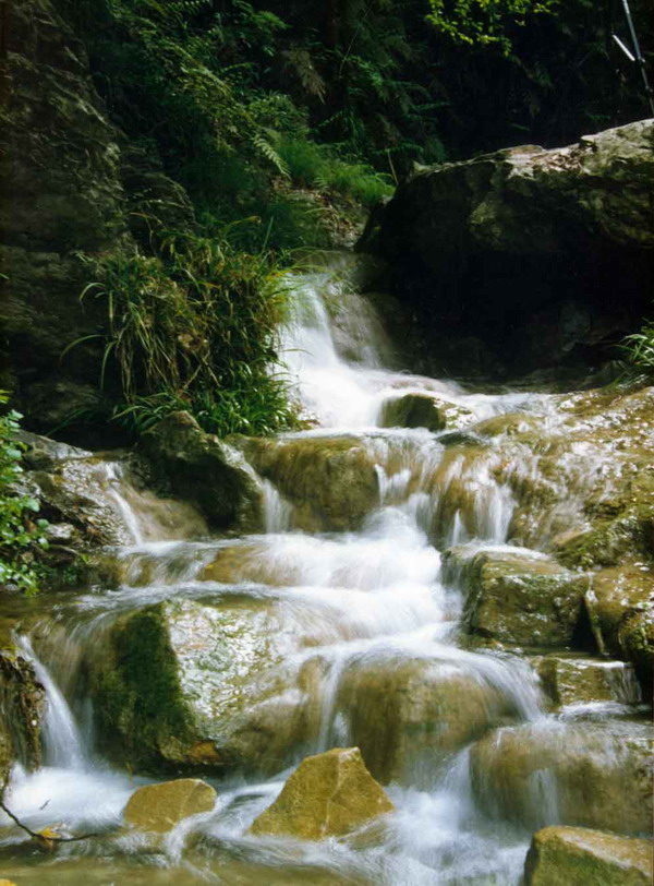 大口国家森林公园地处大洪山南麓山脉,距钟祥市区郢中镇30千米,是以