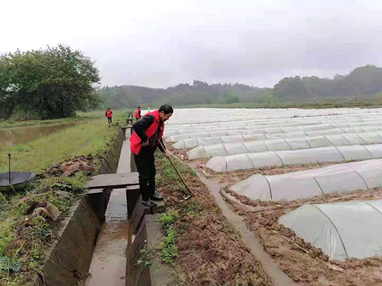 桃源县夷望溪镇：学党史突出为群众办实事，助力粮食生产“顺”起来