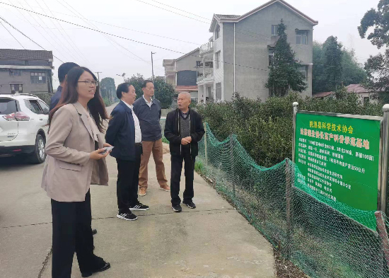 常德市老科协副会长罗先友一行验收桃源老科协工作
