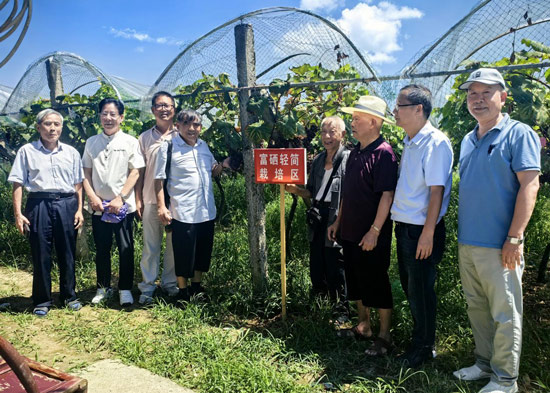 常德市老科协农业科技服务专家组开展富硒葡萄等考察活动