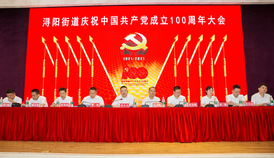 《不忘初心 之牢记使命（二百五十七）》之桃源县浔阳街道——殚精竭虑施实招  踔厉奋发续华章